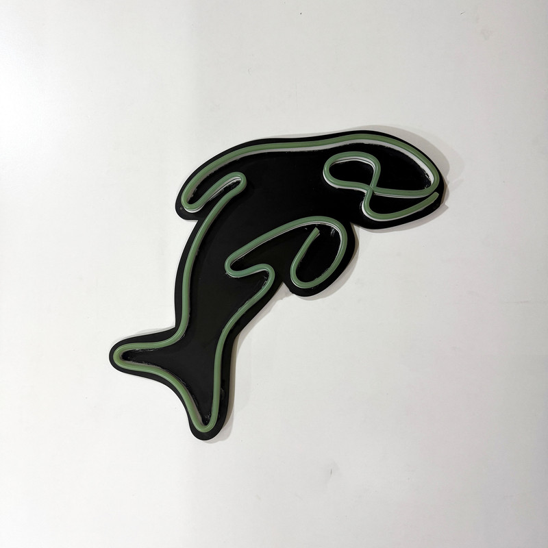 چراغ نئونی مدل دلفین
