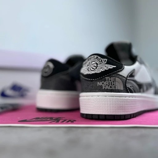 ترویس north face