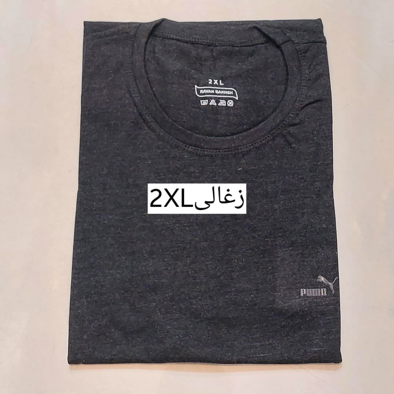 تیشرت مردانه روانبخش نخ پنبه اعلا در 4 سایز XL.2XL.3XL.4XL.L