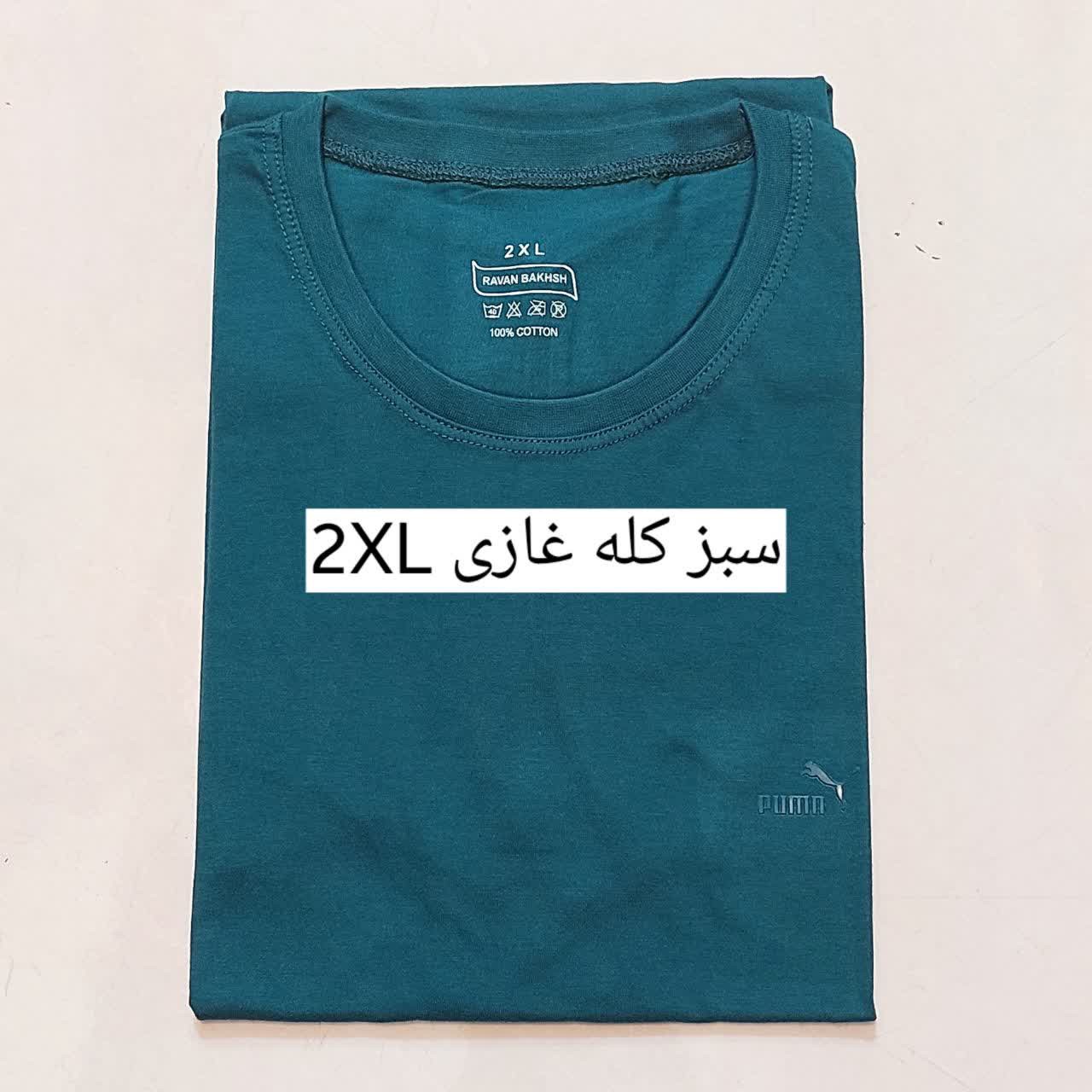 تیشرت مردانه روانبخش در 5سایز متنوع ویسکوز نخ پنبه اعلا