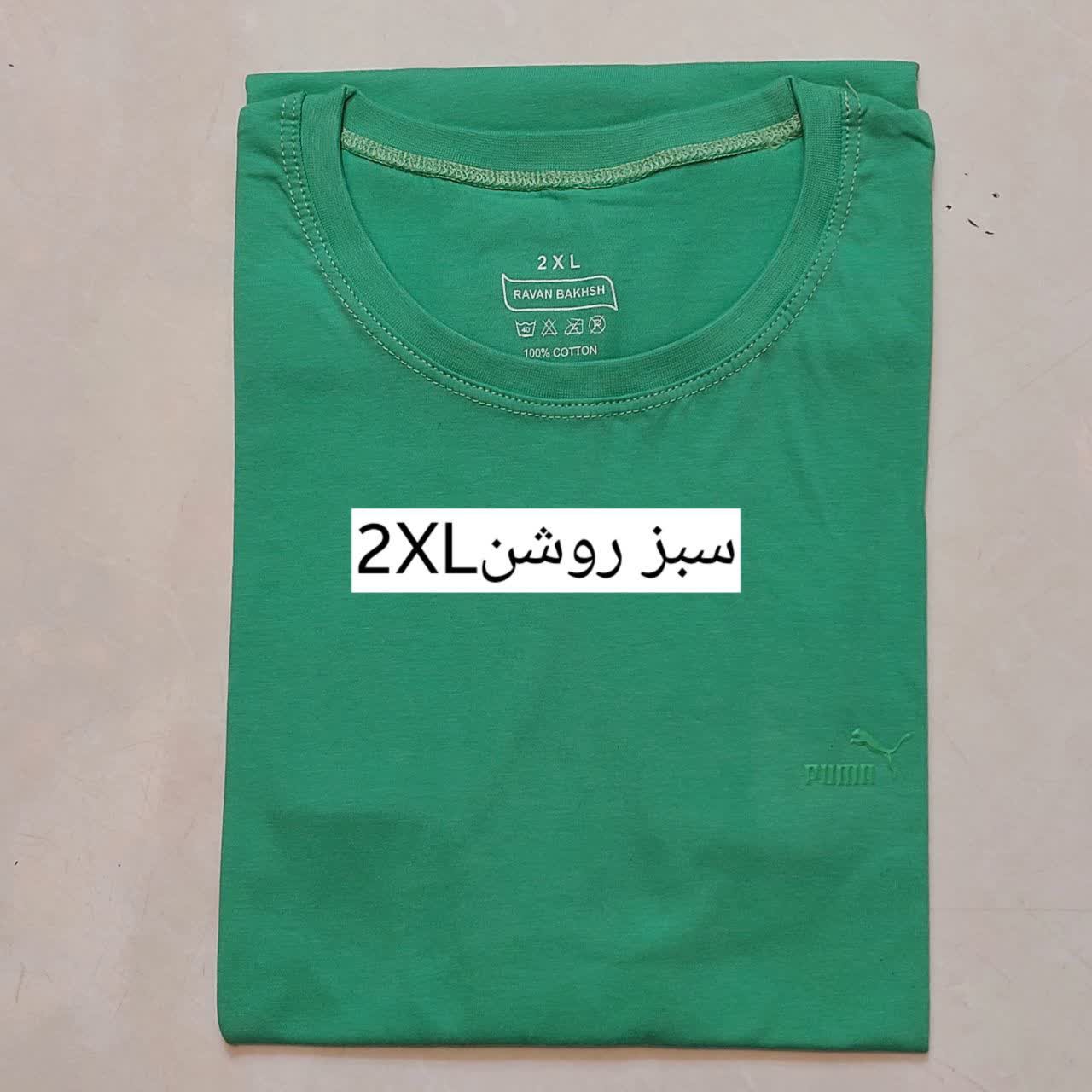 تیشرت مردانه نخ پنبه اعلا در5 سایزL.XL.2XL.3XL.4XL رنگبندی زیبا