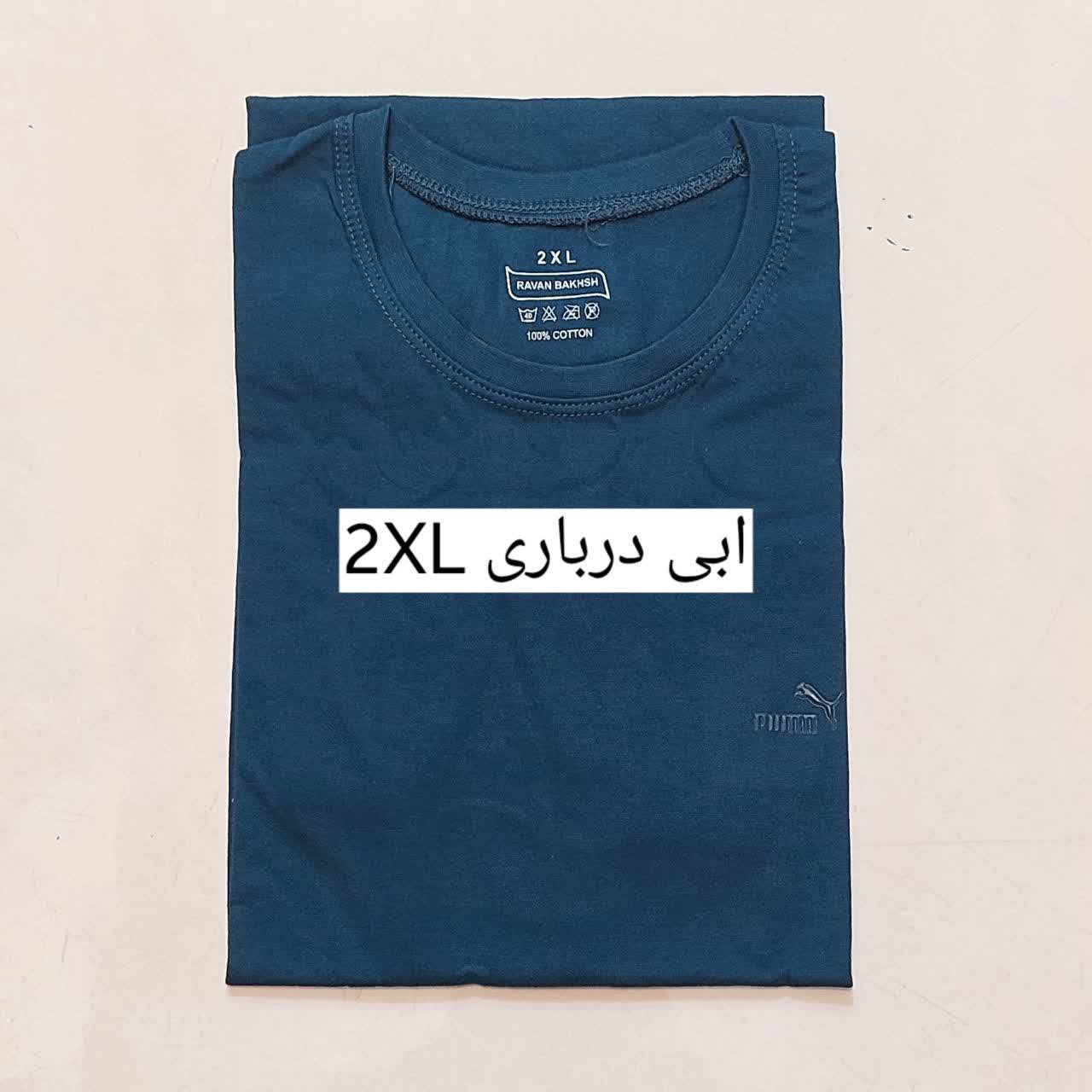 تیشرت مردانه نخ پنبه اعلا در5 سایزL.XL.2XL.3XL.4XL رنگبندی زیبا