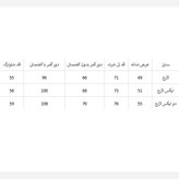ست تی شرت و شلوارک مغزی خور جردن