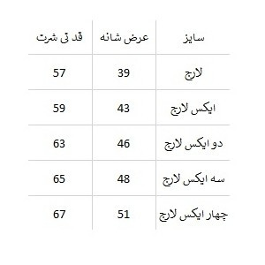 تی شرت آستین رگلان نایکی زنانه