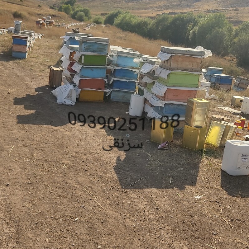 عسل طبیعی باکیفیت رس بسته