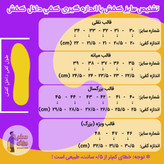 کتونی سالنی فوتسال میزانو کلاسیک Mizano Classic (سایز ویژه هم داریم)