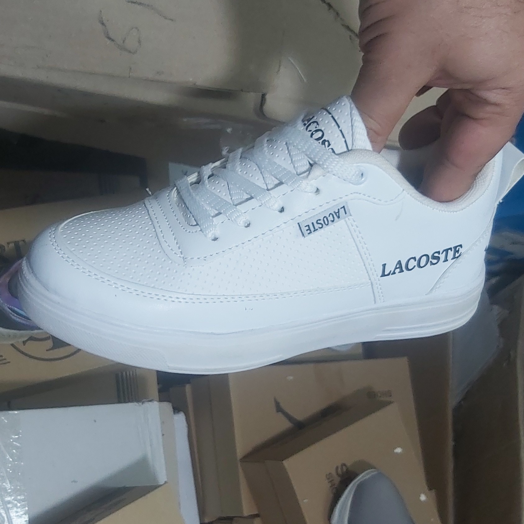 کتانی زنانه ودخترانه LACOSTE(قالب کوچک)
