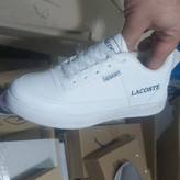 کتانی زنانه ودخترانه LACOSTE(قالب کوچک)