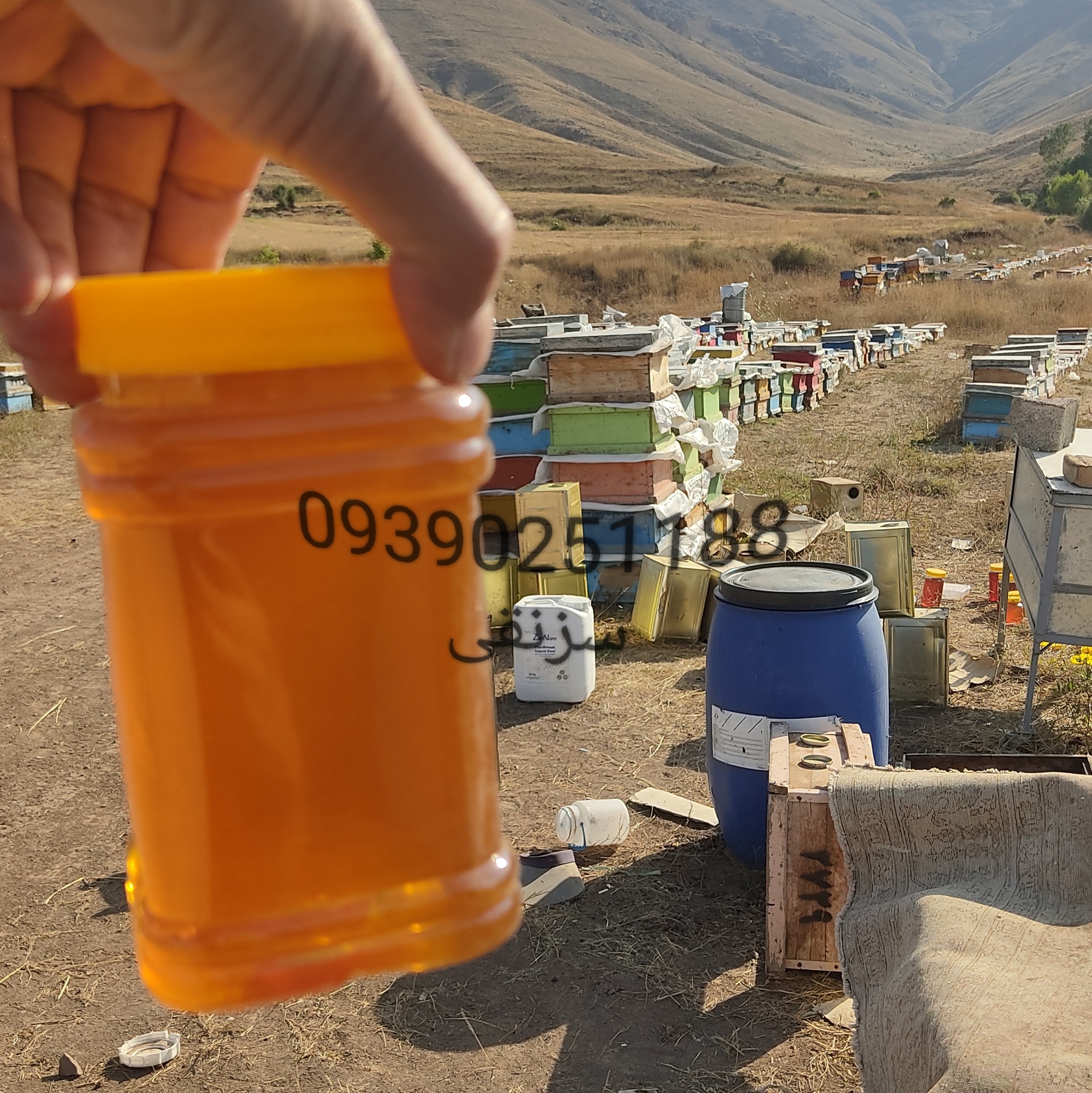 عسل طبیعی طارم سزنق